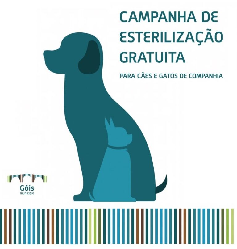 Rádio Regional do Centro: Góis: Resultado da Campanha de Esterilização de Animais de Companhia de 2024